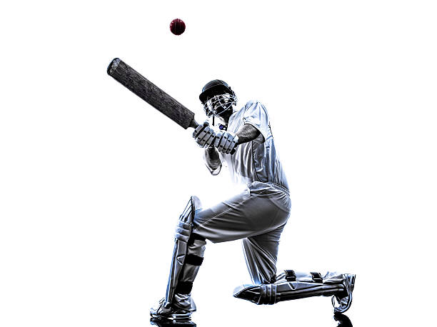 Understanding the use of betting software for cricket betting